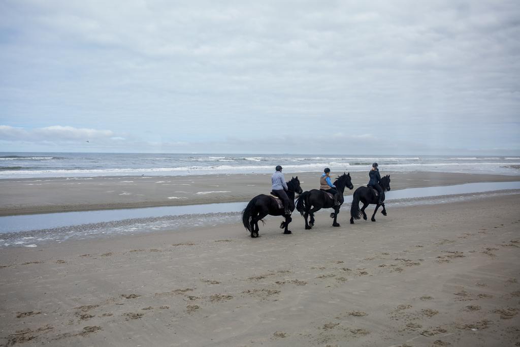Appartementenhotel Tjermelan Terschelling Oosterend  Екстериор снимка